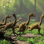 Mô hình 3D Compsognathus: Khủng long nhỏ nhắn đầy ấn tượng