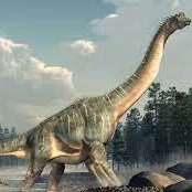 Mô hình 3D khủng long cổ dài Brachiosaurus chân thực