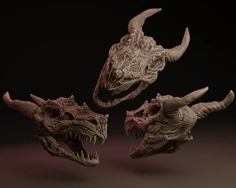 Mô hình 3D: Sọ Rồng Krayt Thiếu Niên / Sọ Rồng Sa Mạc - Image 1