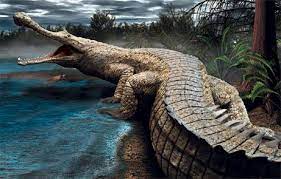Mô hình 3D khủng long cá sấu Sarcosuchus tiền sử chi tiết - Image 1