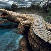 Mô hình 3D khủng long cá sấu Sarcosuchus tiền sử chi tiết