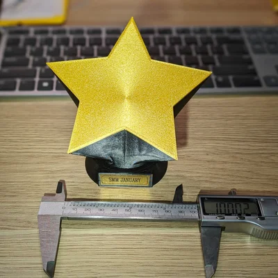 Cúp Ngôi Sao 3D (Star Trophy) Tùy Chỉnh Bảng Tên Độc Đáo