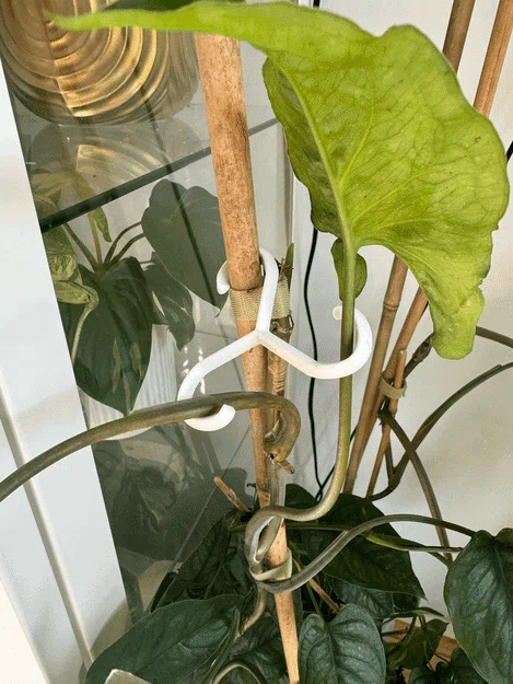Móc Treo Hỗ Trợ Cây Trồng - Image 1