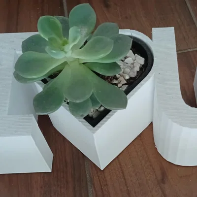 Chậu cây I Love You dễ thương - Món quà tuyệt vời cho người thương