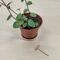 Cào cát mini Tiny Zen Rake: Phụ kiện trang trí tiểu cảnh siêu xinh - Thumbnail 3