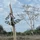daTorst_1512199