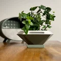 Chậu cây/chậu hoa tự tưới nước kiểu hình học - Thumbnail 3