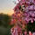 nowjeremy_1603231