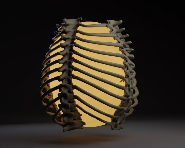 Đèn Lồng Khung Xương Sườn Làng Caretaker (Caretaker Village Rib Cage Lamp) - Image 1