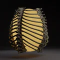Đèn Lồng Khung Xương Sườn Làng Caretaker (Caretaker Village Rib Cage Lamp) - Thumbnail 1