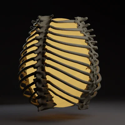 Đèn Lồng Khung Xương Sườn Làng Caretaker (Caretaker Village Rib Cage Lamp)