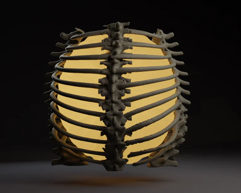 Đèn Lồng Khung Xương Sườn Làng Caretaker (Caretaker Village Rib Cage Lamp) - Image 2