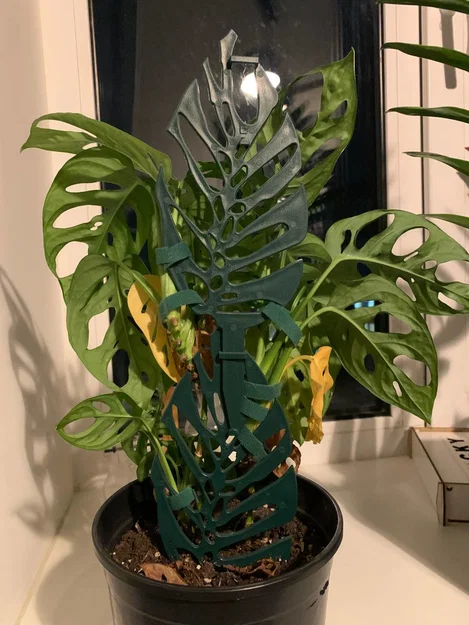 Cọc đỡ cây Monstera dạng stackable (xếp chồng/nối tầng) - Image 4