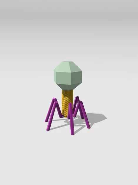 Mô hình Sinh học Virus Bacteriophage - Image 1