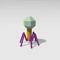 Mô hình Sinh học Virus Bacteriophage - Thumbnail 1
