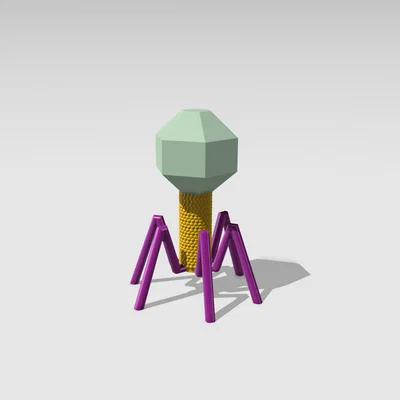 Mô hình Sinh học Virus Bacteriophage