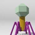 Mô hình Sinh học Virus Bacteriophage - Thumbnail 2