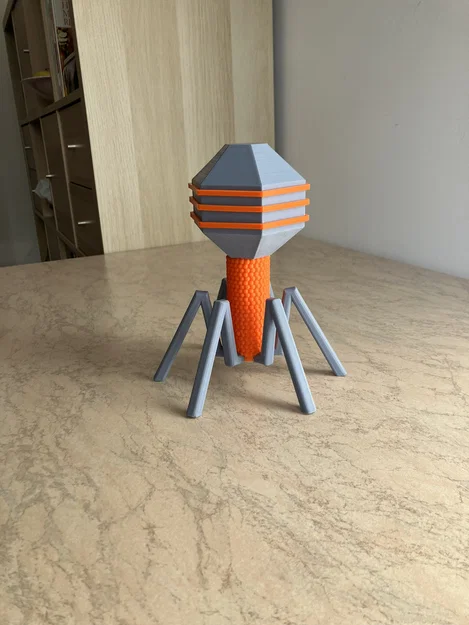 Mô hình Sinh học Virus Bacteriophage - Image 4