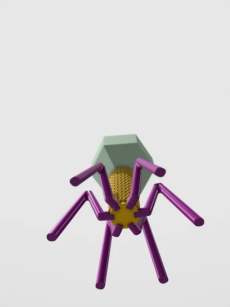 Mô hình Sinh học Virus Bacteriophage - Image 5