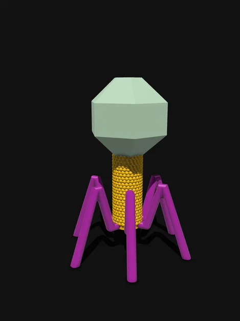 Mô hình Sinh học Virus Bacteriophage - Image 7