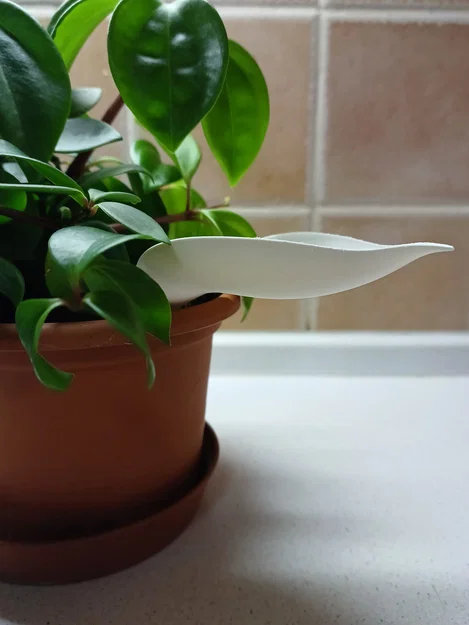 Phễu tưới nước 3D hình lá - Giải pháp tưới cây sạch sẽ, hiệu quả - Image 1
