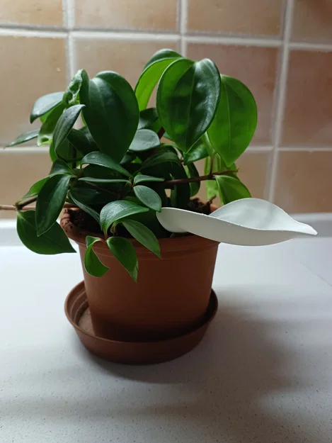 Phễu tưới nước 3D hình lá - Giải pháp tưới cây sạch sẽ, hiệu quả - Image 3