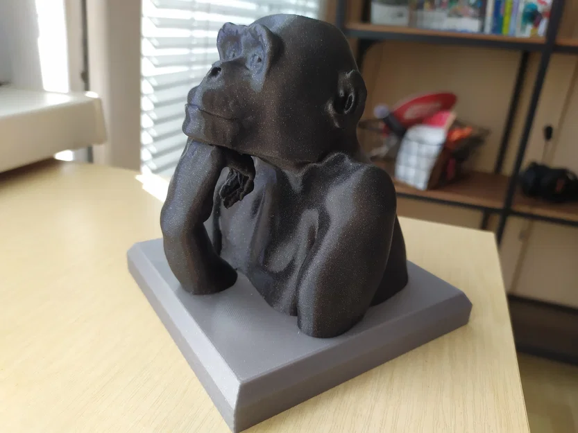 Tinh Tinh Trầm Tư (The Chimp Thinker) - Image 1