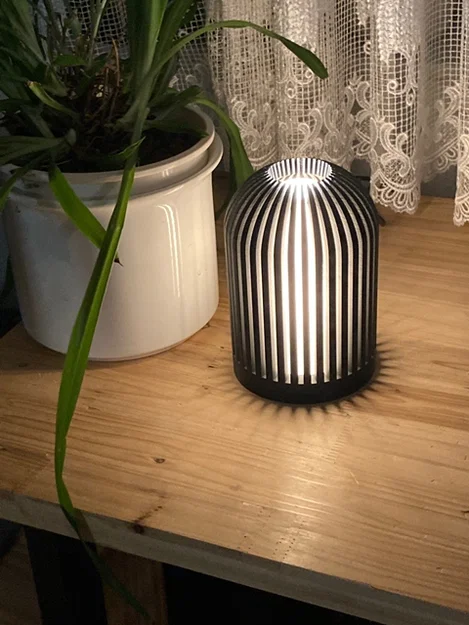 Đèn #30 - Lồng chim (Lamp # 30 - Birdcage) - Image 1