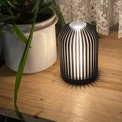 Đèn #30 - Lồng chim (Lamp # 30 - Birdcage)