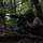 claytononeill_190639