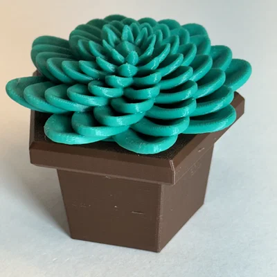 Mô hình 3D chậu cây sen đá trang trí treo tường độc đáo