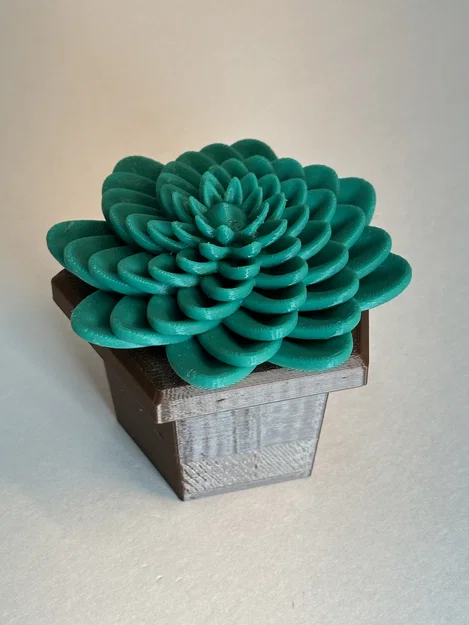 Mô hình 3D chậu cây sen đá trang trí treo tường độc đáo - Image 2