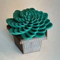 Mô hình 3D chậu cây sen đá trang trí treo tường độc đáo - Thumbnail 2
