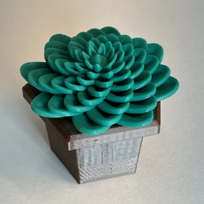 Mô hình 3D chậu cây sen đá trang trí treo tường độc đáo