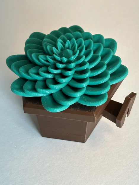 Mô hình 3D chậu cây sen đá trang trí treo tường độc đáo - Image 3