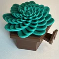 Mô hình 3D chậu cây sen đá trang trí treo tường độc đáo - Thumbnail 3