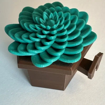 Mô hình 3D chậu cây sen đá trang trí treo tường độc đáo