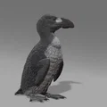 Tượng chim Great Auk (Figurine) tỉ lệ 1:1 & 1:6 - Thumbnail 1