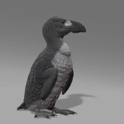 Tượng chim Great Auk (Figurine) tỉ lệ 1:1 & 1:6