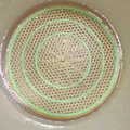 Máng nước cho ong / khay nổi nước đường (xô 2 & 5 gallon) - Thumbnail 4