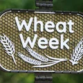 Bảng hiệu Wheat Week - Thumbnail 1