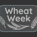 Bảng hiệu Wheat Week - Thumbnail 3