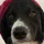 Sturmer_3530050