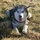 Sunshowlu_2482524