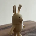 Hộp Thỏ Phục Sinh (Easter Bunny Container) - Thumbnail 2
