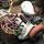 VoytecCalow_1867280