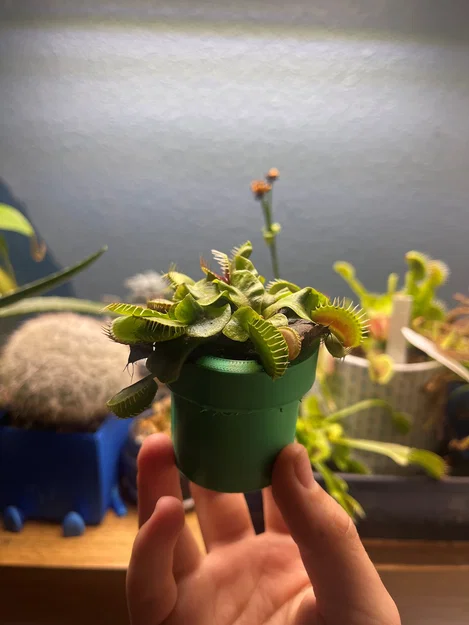 Chậu cây Mario (Mario plant pot) - Mẫu in 3D trang trí bàn làm việc - Image 1