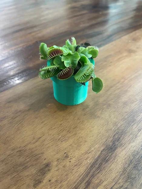 Chậu cây Mario (Mario plant pot) - Mẫu in 3D trang trí bàn làm việc - Image 2