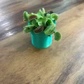 Chậu cây Mario (Mario plant pot) - Mẫu in 3D trang trí bàn làm việc - Thumbnail 2