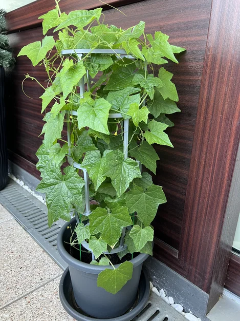 Rankhilfe cho cây trồng (hệ cắm, mở rộng) - Rankhilfe für Pflanzen - Image 1